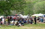What a Great Crowd!