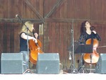 Cello Fury