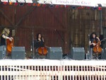 Cello Fury