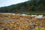 Cheat-Greens Run 9-05 003.jpg
