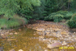 Cheat-Greens Run 9-05 013.jpg