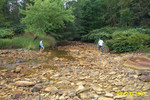 Cheat-Greens Run 9-05 014.jpg