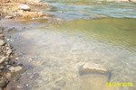 Cheat-Greens Run 9-05 016.jpg