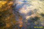 Green's Run 6-05 003.jpg