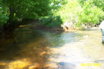 Green's Run 6-05 005.jpg