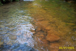 Green's Run 6-05 009.jpg