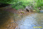 Green's Run 6-05 010.jpg