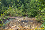 Lick Run 8-16-04 006.jpg