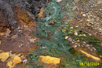 Lick Run 8-16-04 007.jpg