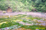 Lick Run 8-16-04 009.jpg