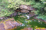 Lick Run 8-16-04 011.jpg