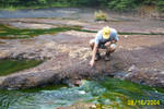 Lick Run 8-16-04 012.jpg