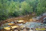 Lick Run 8-16-04 013.jpg