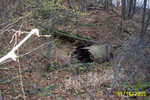 SFGrnsRun11-05 003.jpg