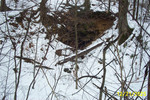 SF Greens Run, Muddy Creek monitoring 004.jpg