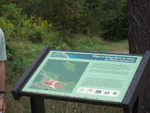 100_0758.JPG