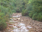 100_0761.JPG