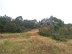 100_0784.JPG