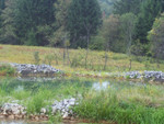 100_0794.JPG