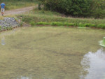 100_0796.JPG