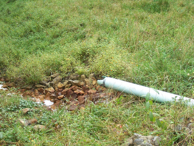 100_0804.JPG