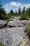 Red Creek Plains