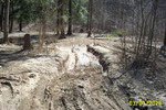J'Burg & Titchenell AMD project 009.jpg