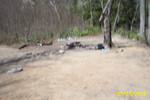 J'Burg & Titchenell AMD project 014.jpg