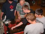 Highlight for Album: Macroinvertebrates in the Classroom