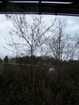 100_2692.JPG
