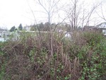 100_2693.JPG